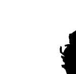 Logo 9